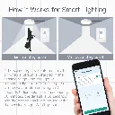 s-l1600 (3).webp