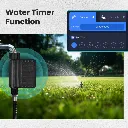 WWV-QT0806.webp