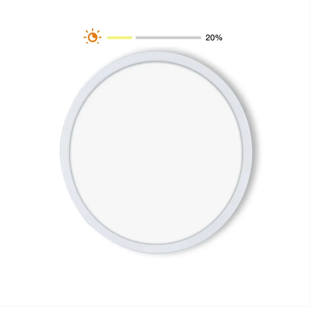 Smart WiFi Ceiling Light – Ultra-thin, RGB + White, Dimmable